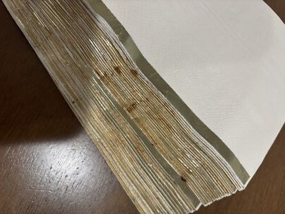 Item photo(s) from verified buyer