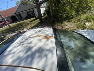 unclassified image 11