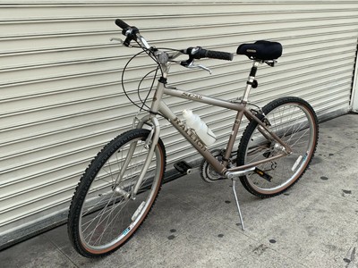 raleigh c200 cross sport bike