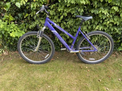 RALEIGH FREERIDE MOUNTAIN BIKE 18 SHIMANO GEARS ALL TERRAIN