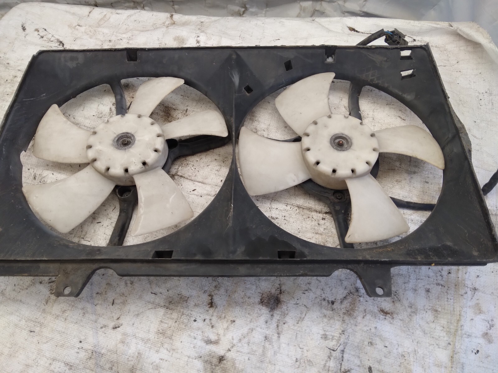 ◆ Kartoon  ◆ $_57.JPG?set_id=880000500F