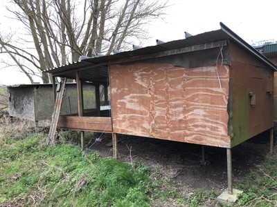 Pheasant Chicken House Shed Coop Breading Hut