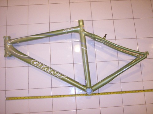 Giant xtc embossed frame sale