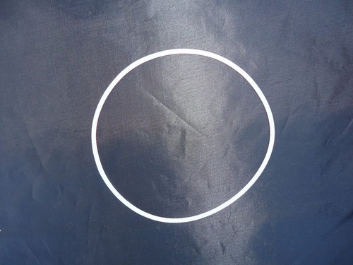 Pool Cleaner Leaf Trap Mesh Bag & O-Ring fit SwimSafe & Generic Leaf Canisters