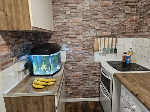 Fotos del artículo de un comprador verificado