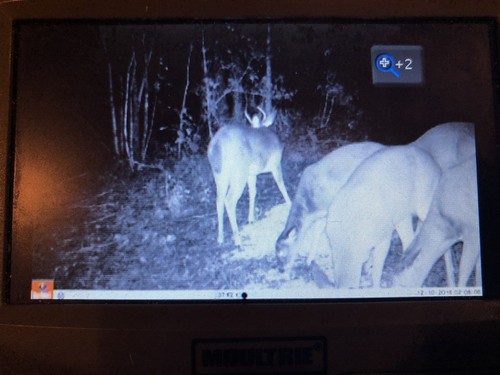 Same As The High Dollar Dirt Bag - It Is 5 Pounds w/ NO EXPENSIVE PACKAGING