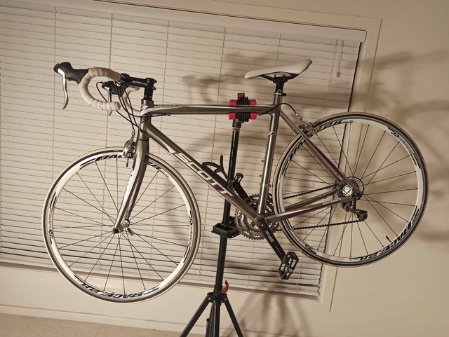 gumtree womens road bike