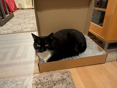 Artikelfoto(s) von einem verifizierten Käufer