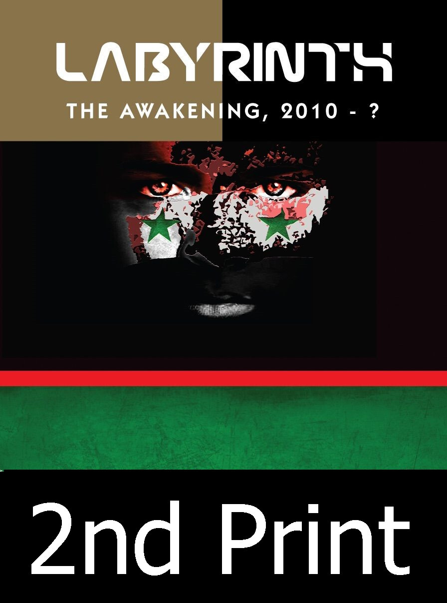 GMT Games: Labyrinth: The Awakening, 2010-?, 2-й тираж, Низкая скорость доставки