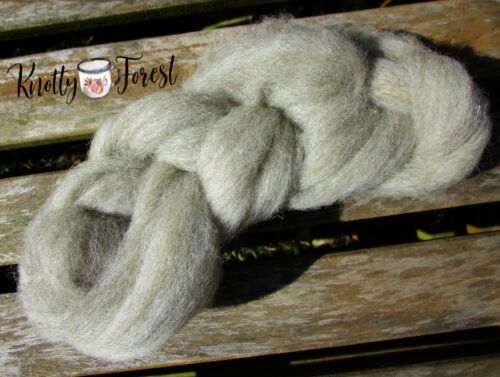 10 FEET Natural Gray SILVER DORSET WOOL ROVING Spinning Felting USA Sourced