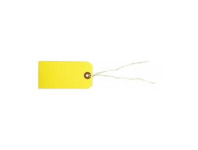 100 Tags 4 3/4" x 2 3/8" Size 5 Colored Inventory Shipping Hang Tag with String