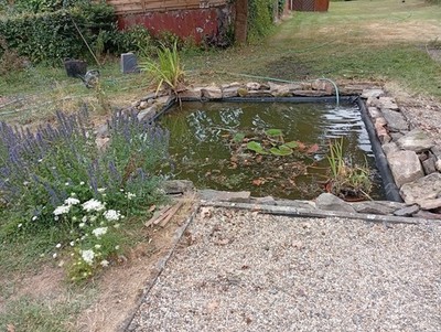 Artikelfoto(s) von einem verifizierten Käufer