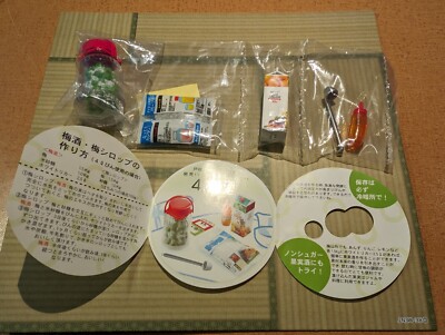 Re-Ment Puchi Sample Is Dinner Ready #4 Ume Plum Wine Miniature 2005 Rement