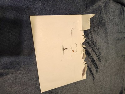 Artikelfoto(s) von einem verifizierten Käufer