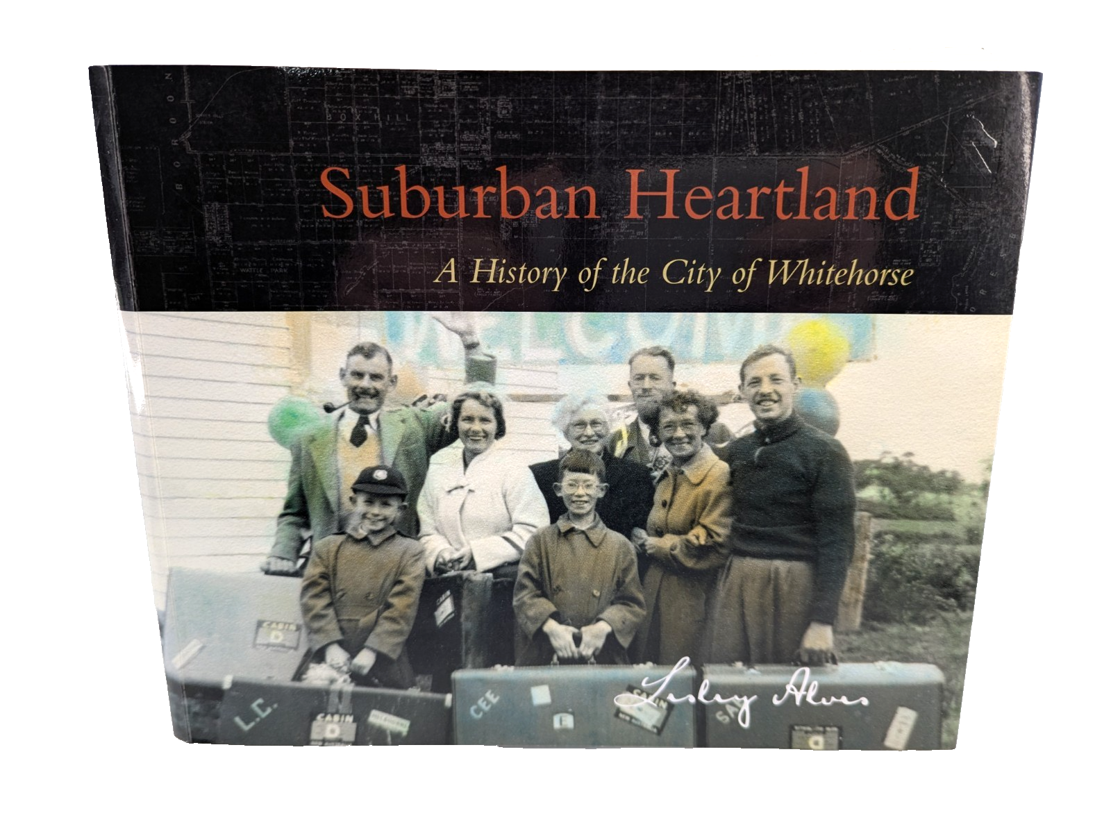 Suburban Heartland by Lesley Alves