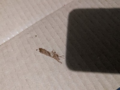 Artikelfoto(s) von einem verifizierten Käufer