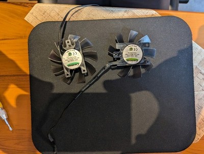 Foto dell'oggetto di un acquirente verificato