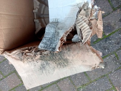 Artikelfoto(s) von einem verifizierten Käufer