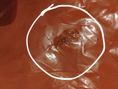 Item photo(s) from verified buyer