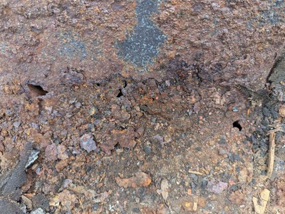 image 20 of exterior