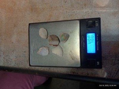 Item photo(s) from verified buyer