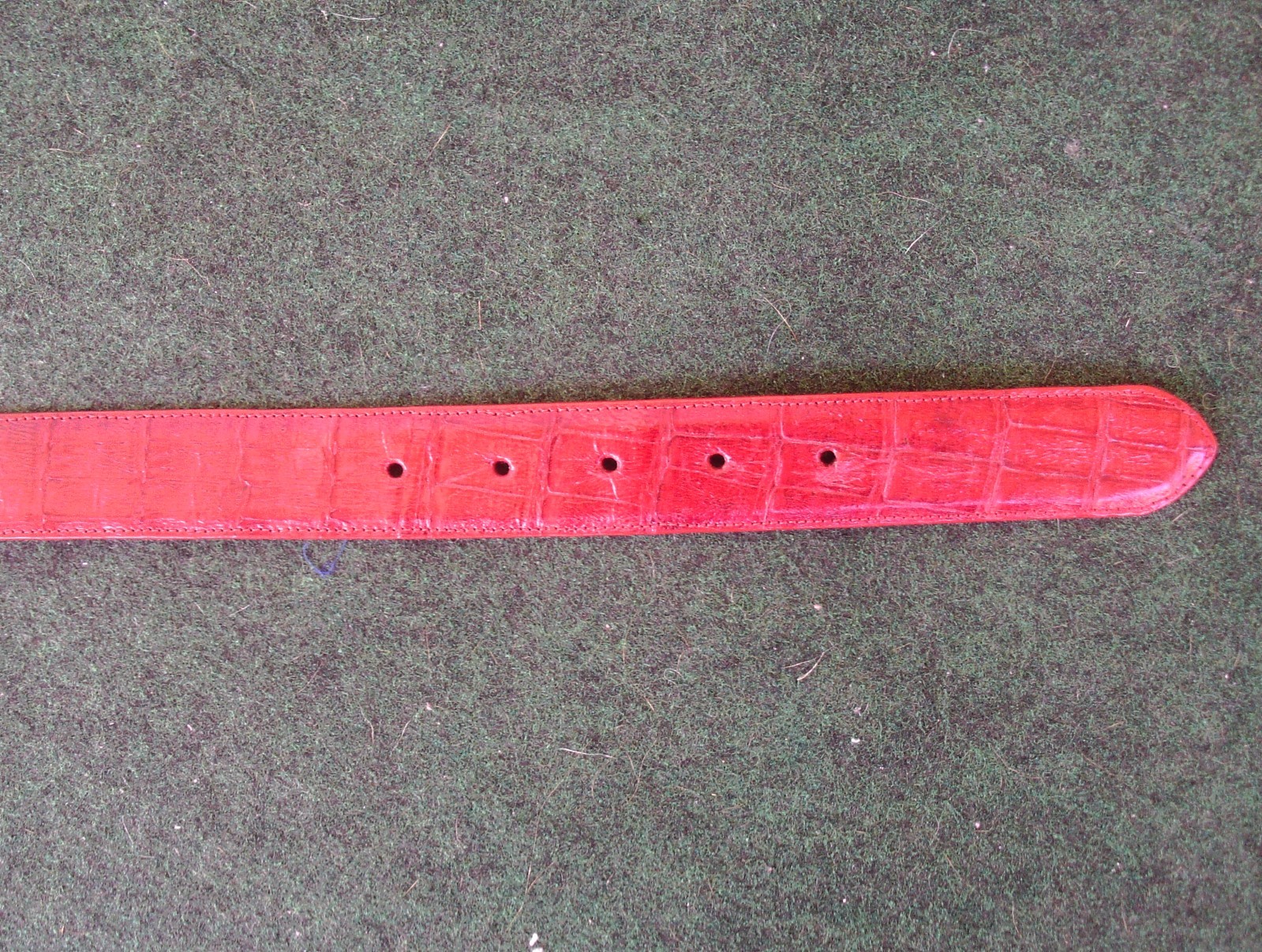 Cincture Silver Belt Buckle & Red Reptilia Crocodile Belt Womens Size 26 Leather