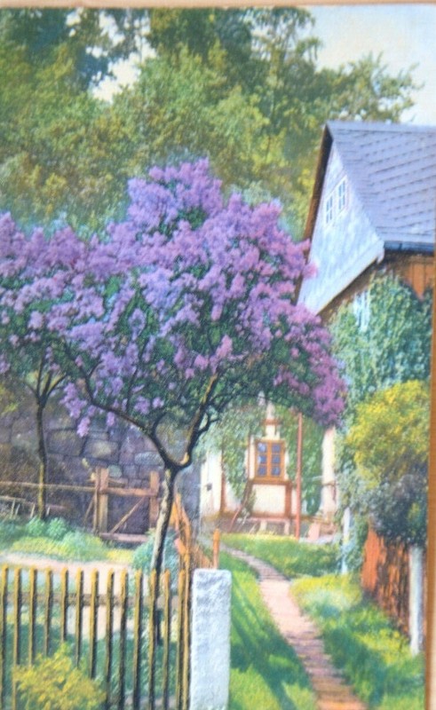 37702 Photochromie Ak3997 Dorf Wehlen Pirna Fliederbaum Maison à Ossature Bois