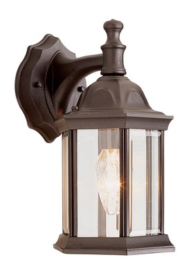 Trans Globe Lighting 4349 Rust Templar 1-Light Lantern Outdoor Wall Sconce