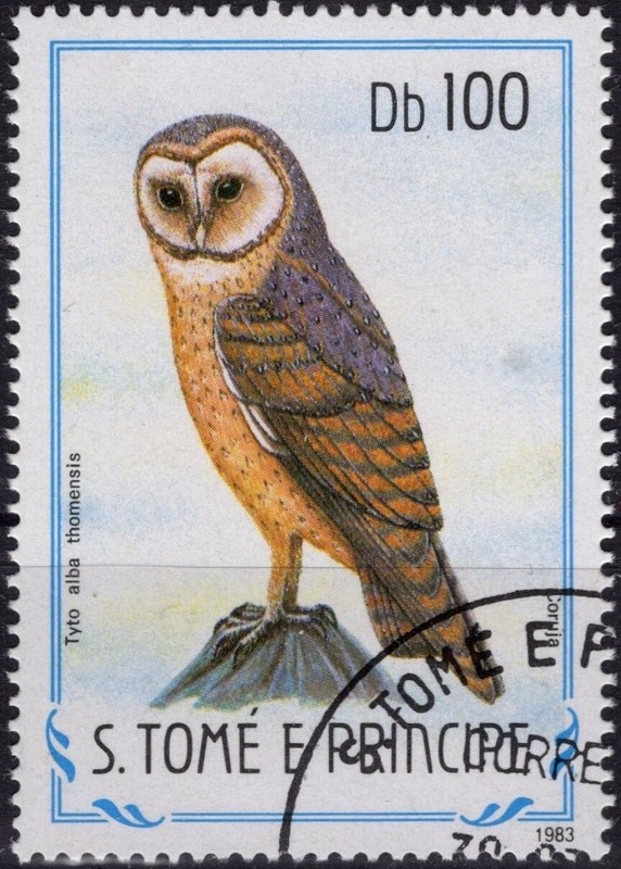 Saint-Thomas Et Prince 795 (O) Hibou Owl Eule Iul Buho Gufo 1984 (Cv 6 â¬)