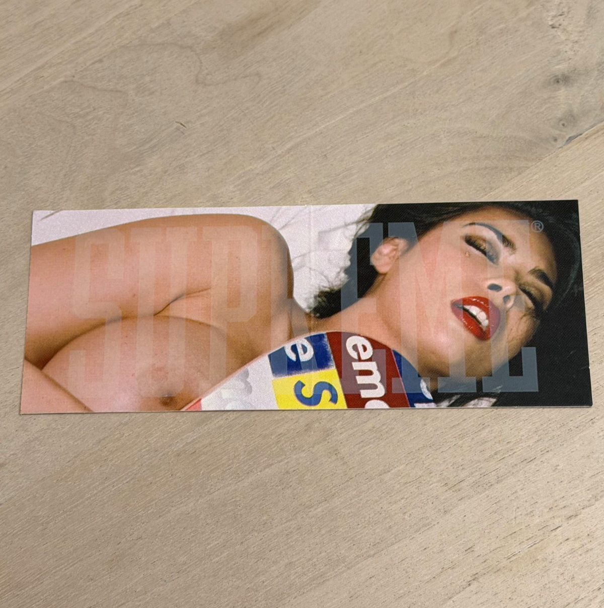 Supreme FW24 Tera Patrick Sticker Authentic