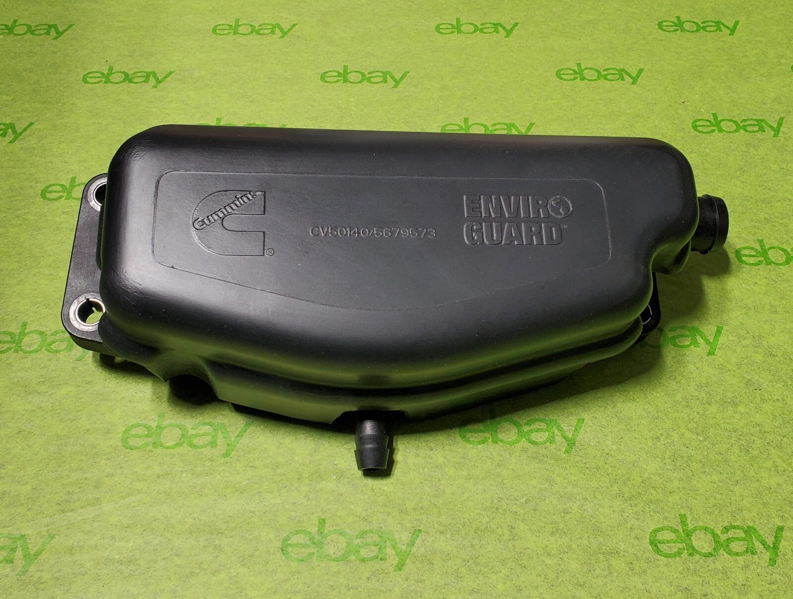 かめ s-l400.jpg