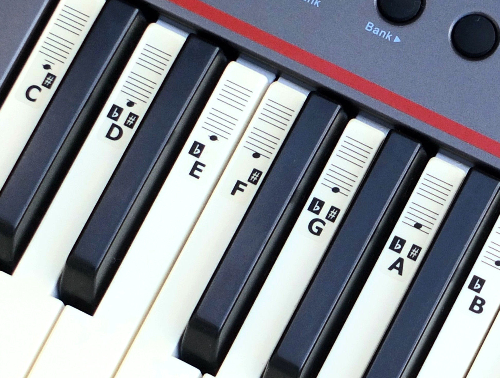 61 key keyboard. Нотная клавиатура. музыкальная клавиатура. фортепиано стикер. keyboard musical instrument.
