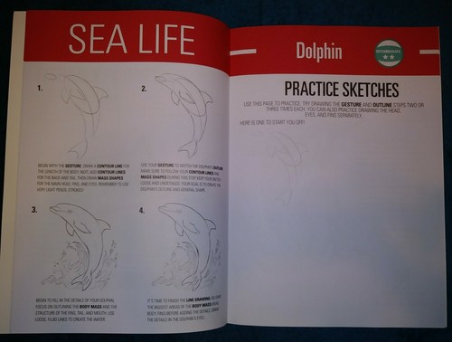 I-Draw Horses and Dolphins Guide 2 Book Set **NEW