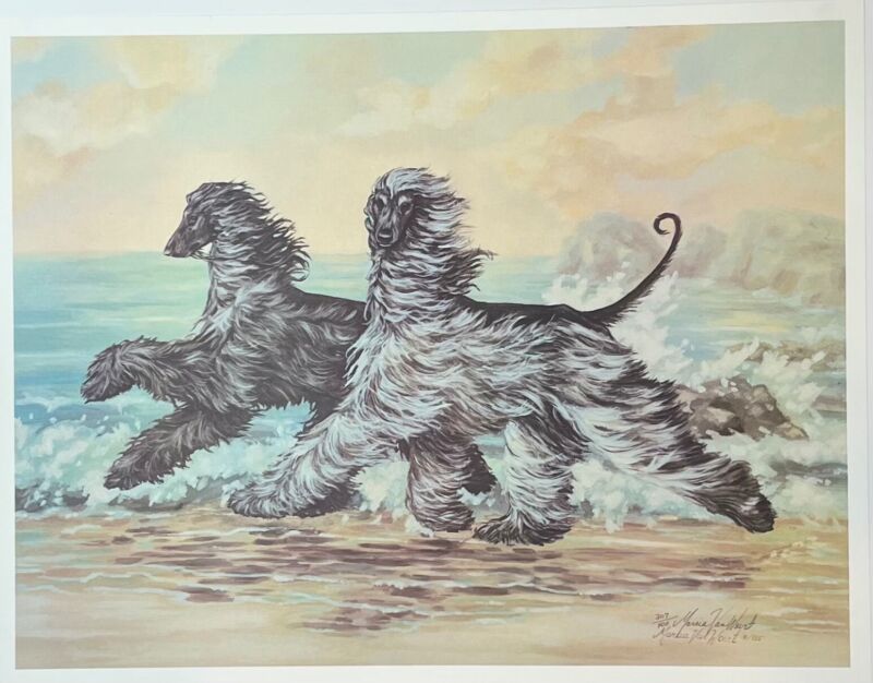Marcia Van Woert Signed & Numbered Afghan Dog Print 1985