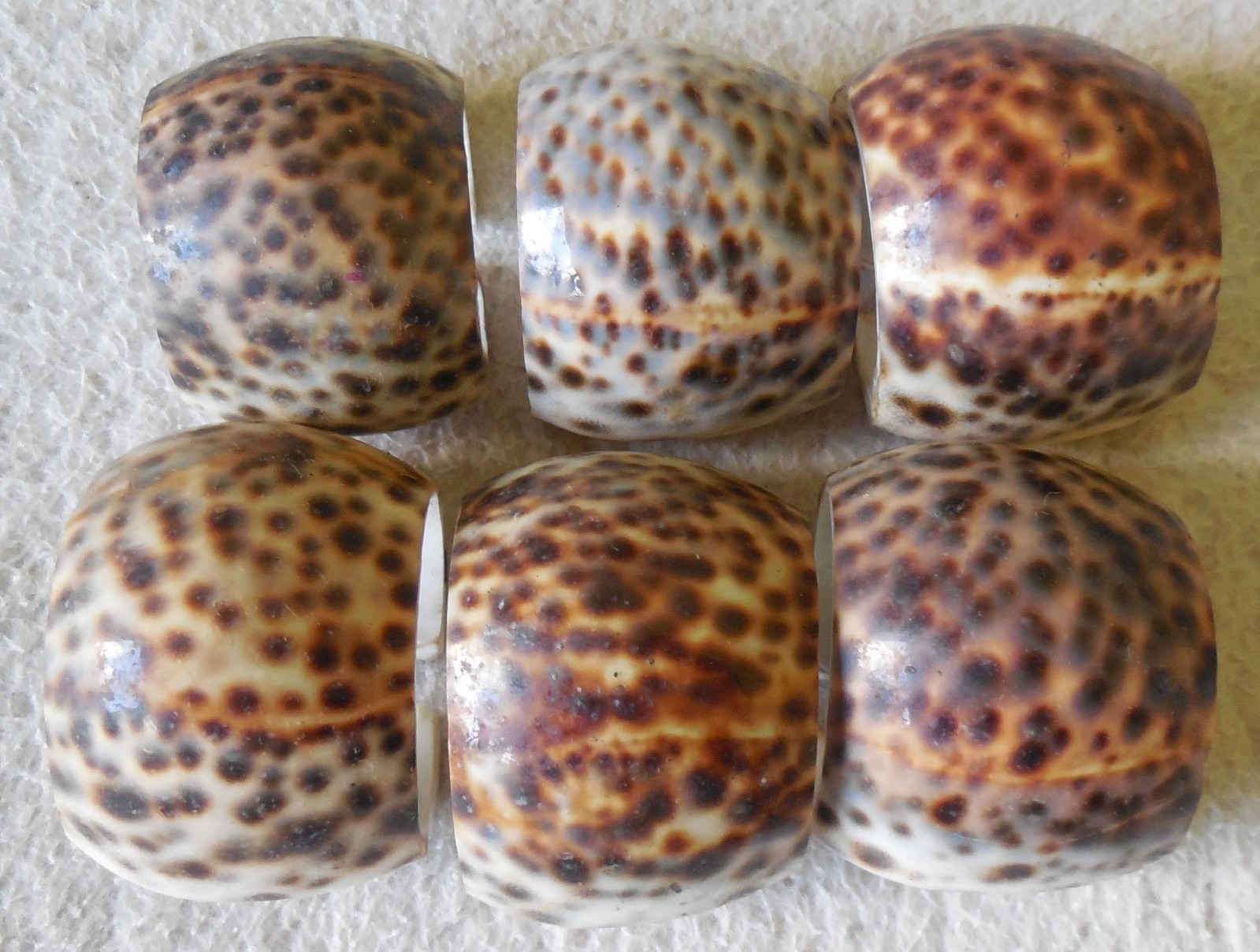 Set of 6 Tiger Cowrie Shell Seashell Napkin Holders Rings tiki bar