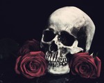 blackroseskulls
