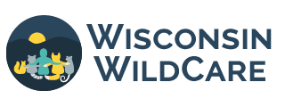 Wisconsin WildCare