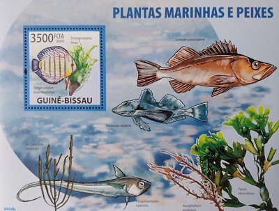 [356 21]- YEAR 2009 - GUINEA BISSAU - FISHES    1X BF complet set  MNH/**