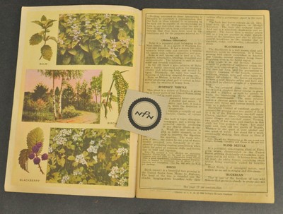 Antique Vtg 1936 Herbalist Almanac Indiana Botanic Gardens Booklet Illustrations