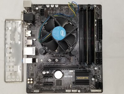 GIGABYTE B250M-DS3H Intel Pentium G4560 3.5GHz 8GB DDR4 Ram - With I/O Shield