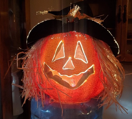 ⭐pumpkin⭐様 $_12.JPG?set_id=880000500F