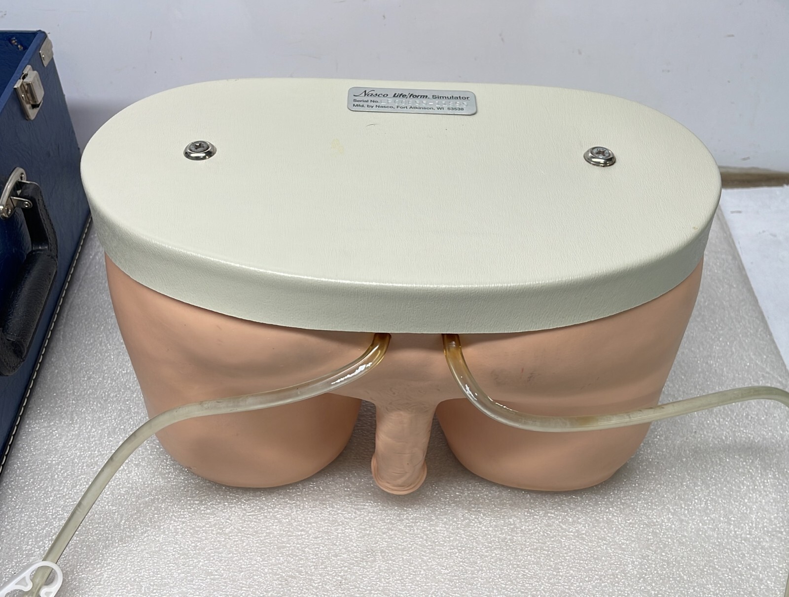 S NASCO Life form Female Catheterization Simulator Training