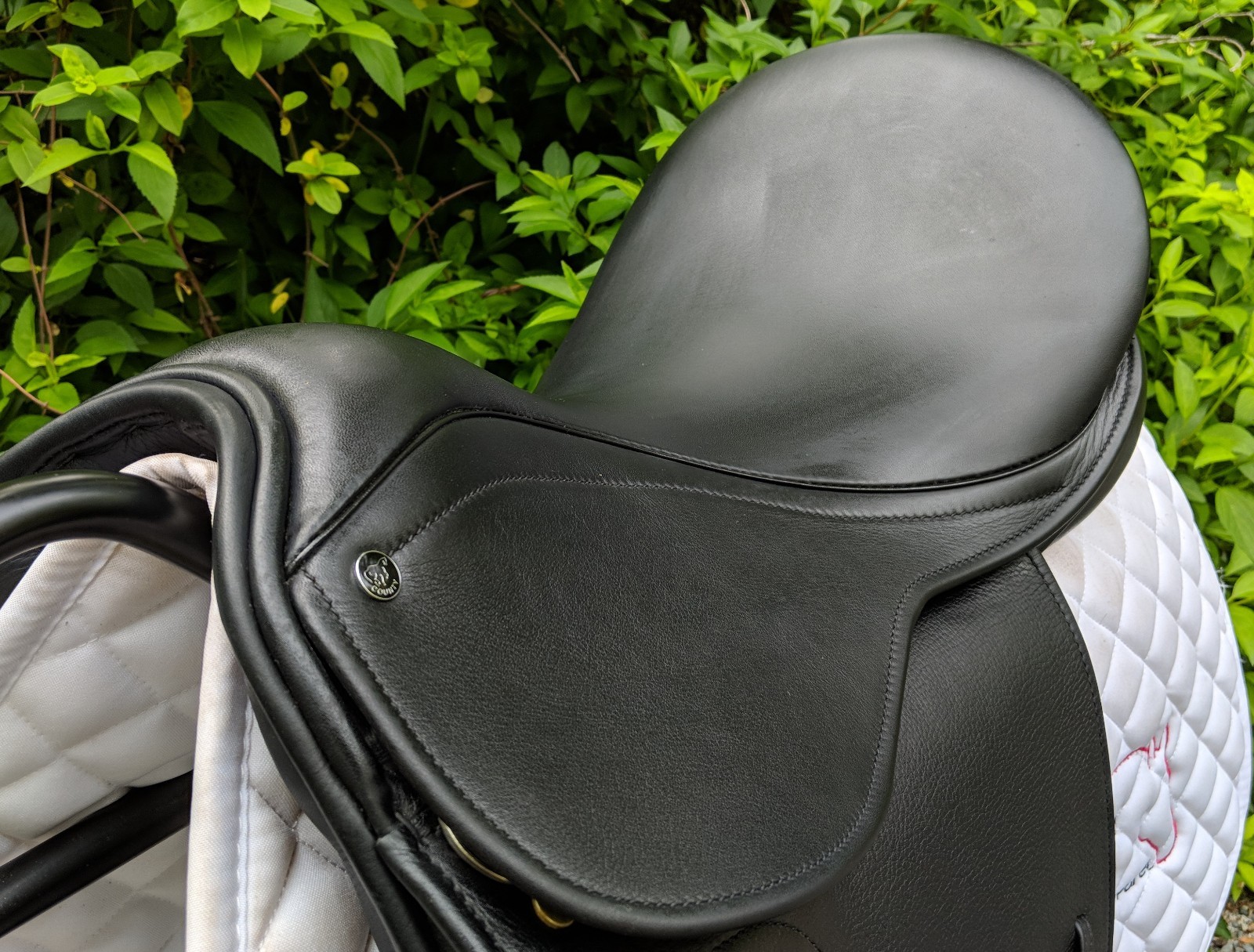 2017 County Fusion M 17.5