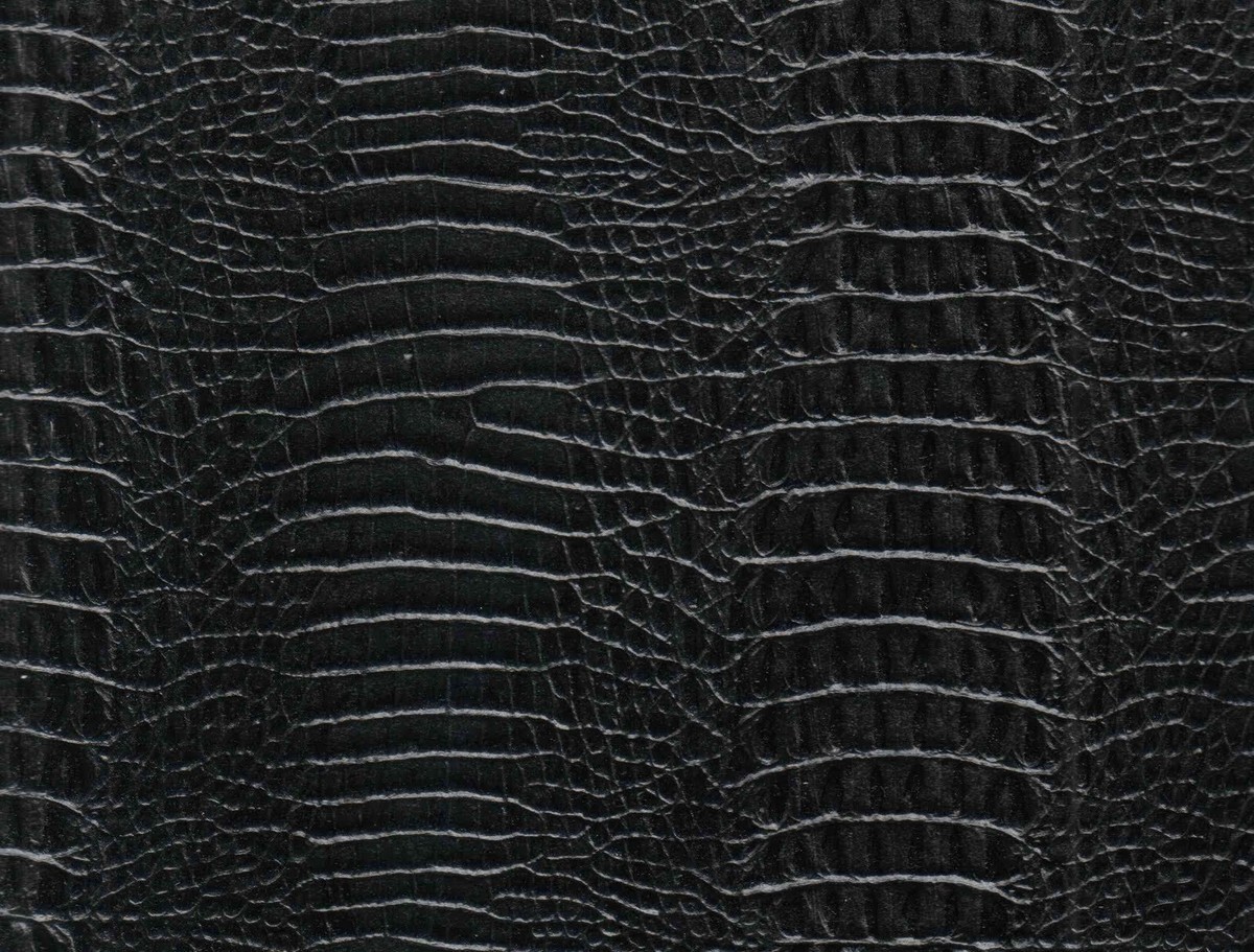 Alligator Skin