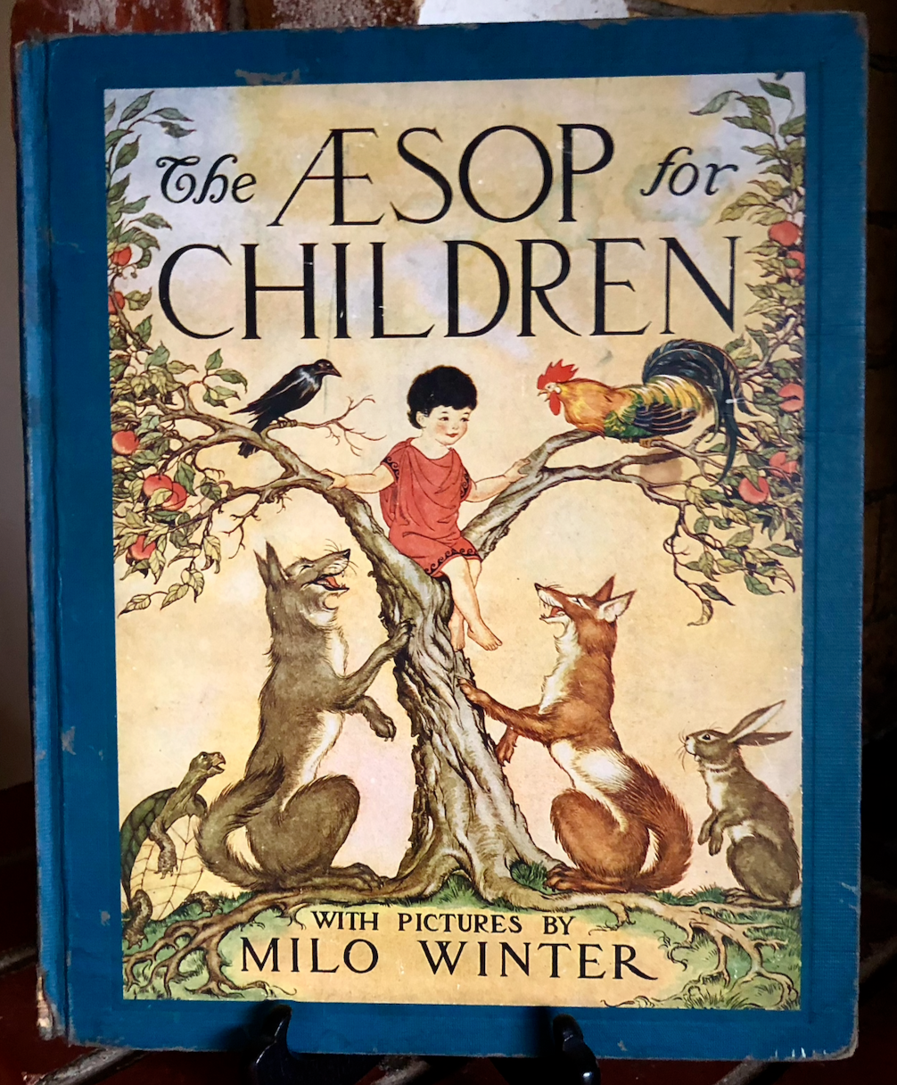 【希少】Aesop the book s-l400.jpg