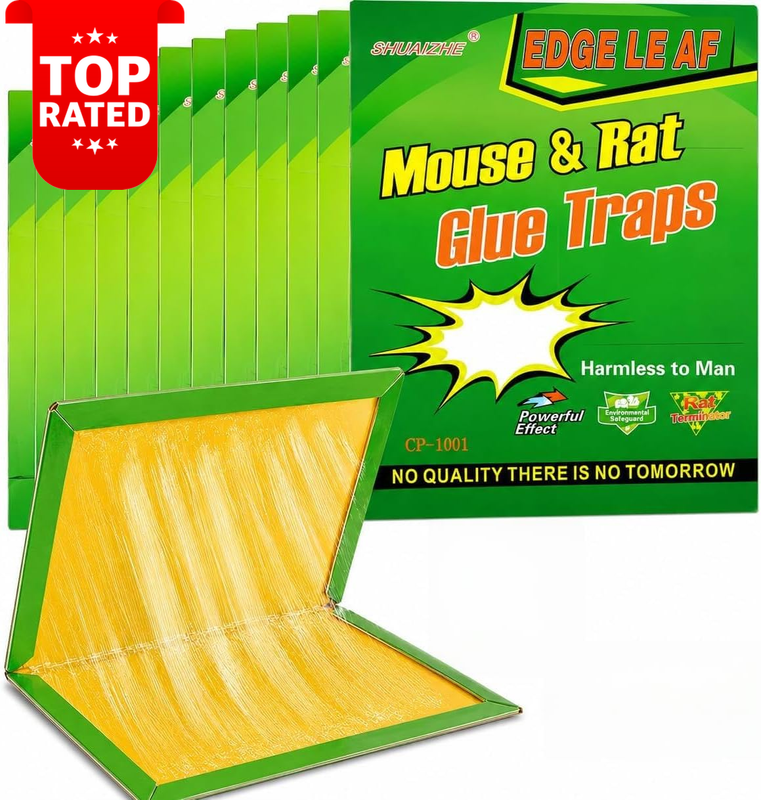 12 Pack Sticky Insect Traps Extra Strong Adhesive for Roaches Ants Spiders