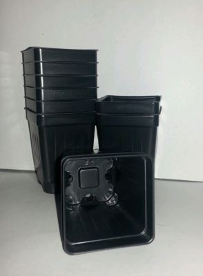 2.5 inch Square Deep Nursery Pot - SET OF 100 - {2.6" x 3.5"} plastic flower 