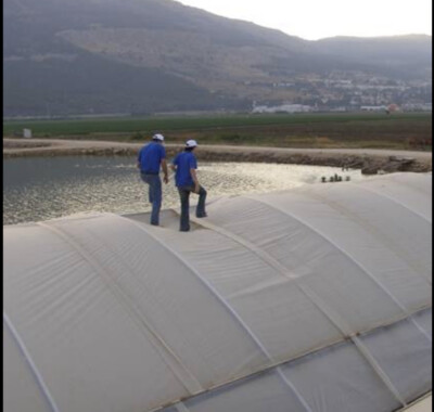 7 MIL CLEAR REINFORCED GREENHOUSE FILM MEGA TOUGH - FREE SHIPPING