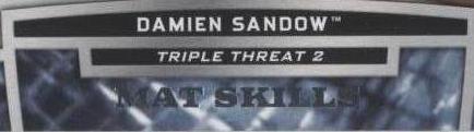 2013 Topps WWE - Damien Sandow #TT11-2