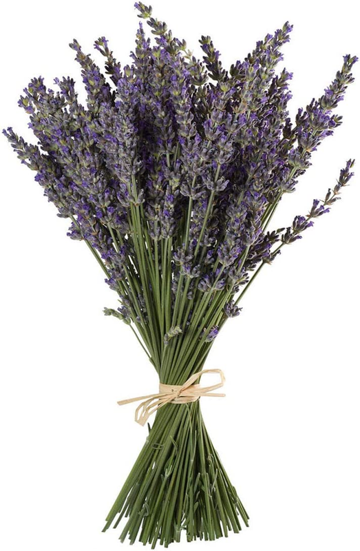 Natural Lavender Bundles, Freshly Harvested 200+ Stems Dried Lavender Bunch 16"